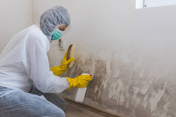 Best Mold Remediation for Healthcare Facilities  in Waterflow, NM