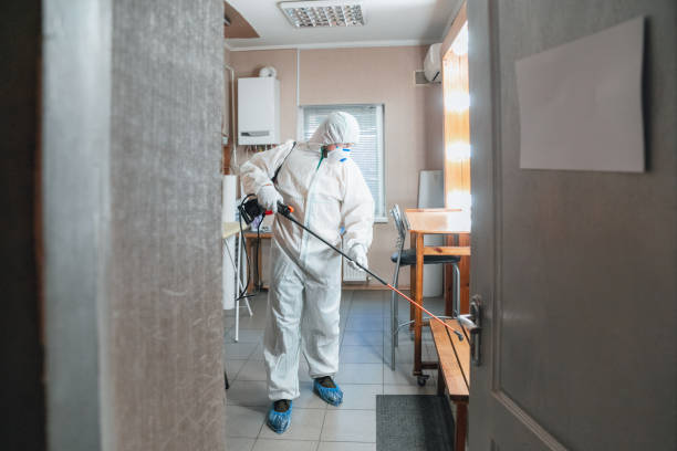 Best Comprehensive Air Testing for Mold Contaminants  in Waterflow, NM