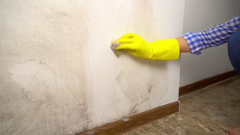 Best Mold Removal for HVAC Installations  in Waterflow, NM