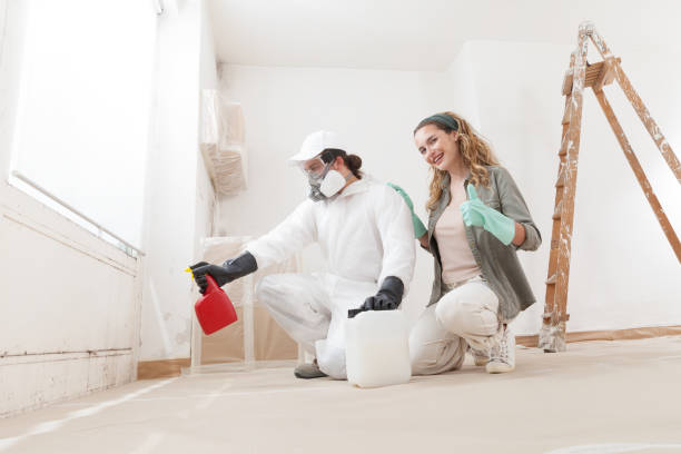 Mold Removal for HVAC Installations in Waterflow, NM