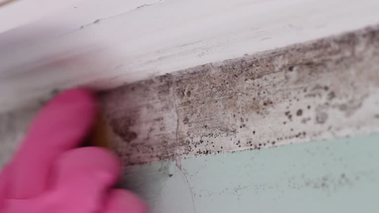 Best Asbestos and Lead Testing During Mold Inspection  in Waterflow, NM